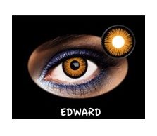 C.FANTASIA TRIMESTRAL EDWARD 2PK NEUTRA