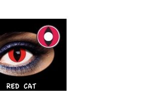 C.FANTASIA TRIMESTRAL RED CAT 2PK NEUTRA