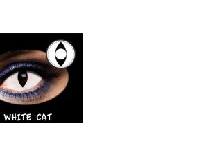 C.FANTASIA TRIMESTRAL WHITE CAT 2PK NEUTRA