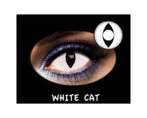 C.FANTASIA TRIMESTRAL WHITE CAT 2PK NEUTRA