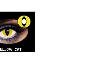 C.FANTASIA TRIMESTRAL YELLOW CAT 2PK NEUTRA