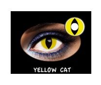 C.FANTASIA TRIMESTRAL YELLOW CAT 2PK NEUTRA