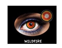 C.FANTASIA TRIMESTRAL WILD FIRE 2PK NEUTRA